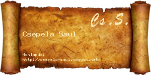 Csepela Saul névjegykártya